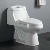 Siphon Flushing Cheap Ceramic Wc Toilet For North American  hotel